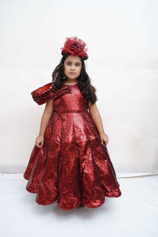 Pannel ball gown frock